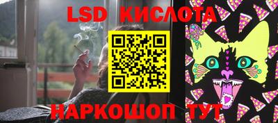 крисы Аргун