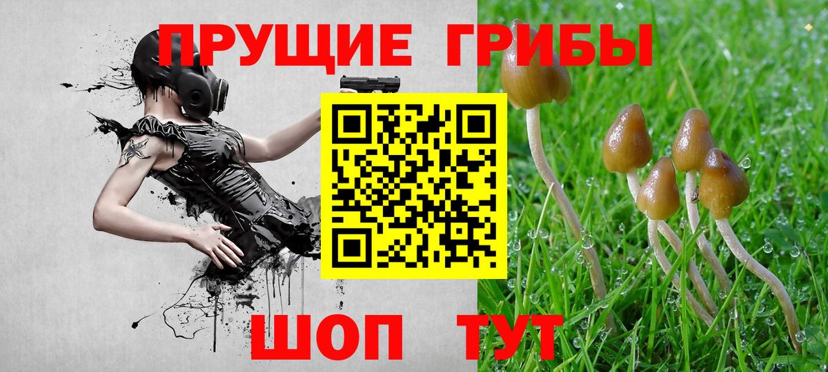 Псилоцибиновые грибы прущие грибы Бахчисарай